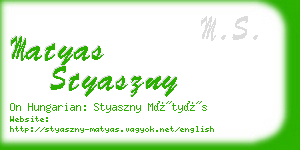 matyas styaszny business card